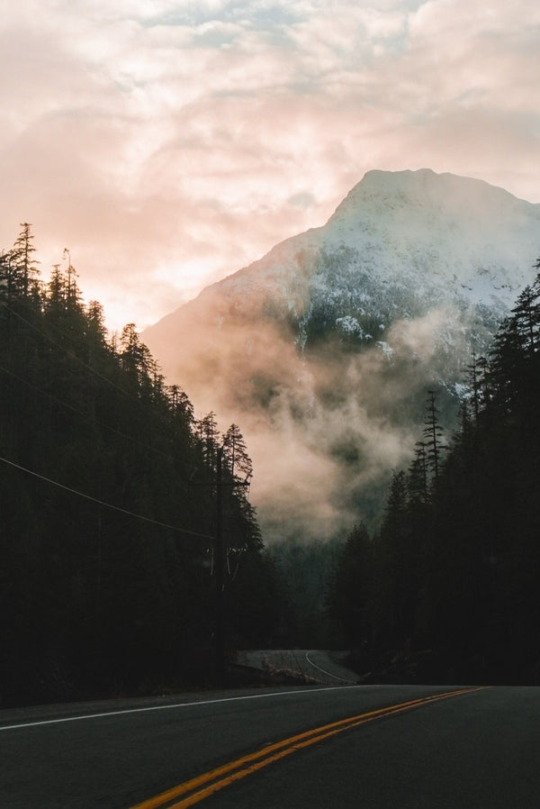 Road to Tofino.jpg