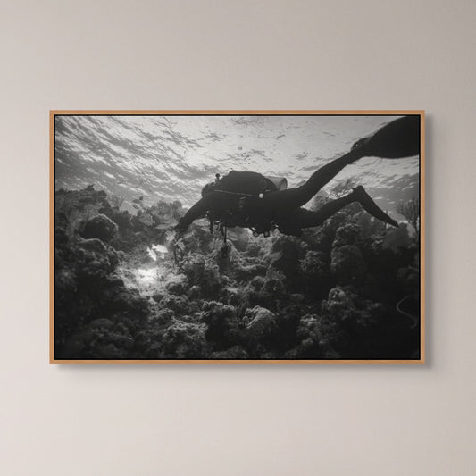 Into the Deep