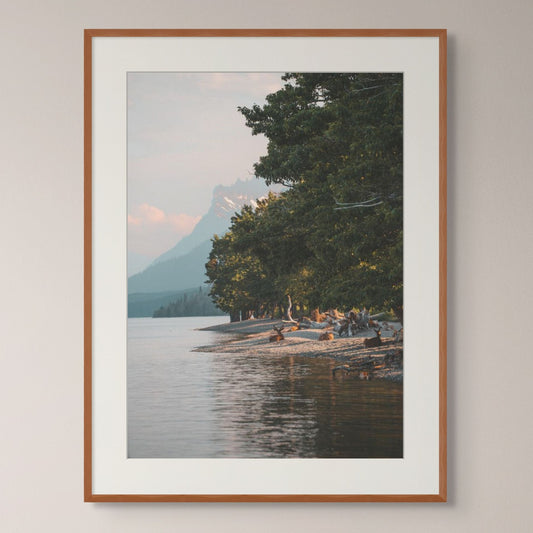 Quiet Waters, Wild Shores